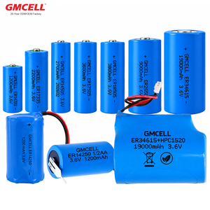 Custom 3.6V ER34615 <b>Battery</b> For Large-diameter Electromagnetic Water Meter <b>Batteries</b> <b>D</b> <b>Size</b> LiSOCl2 ER26500 C <b>Battery</b> - Product Image 5