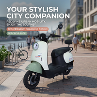 Scooter Eléctrico de Dos Ruedas con Batería de Plomo-Ácido, 350W 48V, Largo Alcance, Motocicleta Eléctrica Económica, Bicicleta Eléctrica Urbana