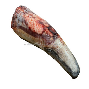 Frozen buffalo tongues for sale Buffalo tongue suppliers USA - Product Image 6