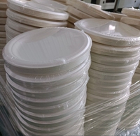 Assiettes jetables en bagasse, 150 pièces, 23 cm, rondes, blanches, écologiques, biodégradables, vaisselle de fête, fabriquées en Chine