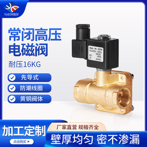 Vanne solénoïde normalement fermée Yueer 0,2~1,6 MPa, type pilote, pour eau et gaz, 220 V AC DN15-50 - Product Image 5