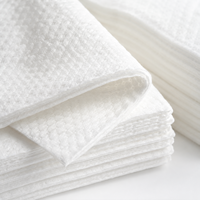 Serviettes faciales jetables écologiques, douces, non tissées, lingettes démaquillantes, fournisseur OEM ODM
