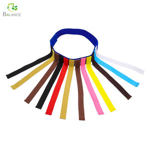 Queue de maternelle drôle tirant des accessoires tirer la ceinture de jeu de queue pour les enfants attraper des jouets d'entraînement de queue - Product Image 6