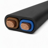 Flaches Zwillings- und Erdungs-Parallelkabel aus PVC, 2-adrig, 300V, flammhemmend, für Tischlampen, Radios, Staubsauger