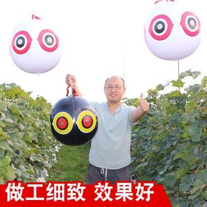 Globo <span class=keywords><strong>de</strong></span> disuasión <span class=keywords><strong>de</strong></span> pájaros <span class=keywords><strong>de</strong></span> ojos aterradores para granjas y huertos para juegos <span class=keywords><strong>de</strong></span> <span class=keywords><strong>playa</strong></span> al aire libre Producto <span class=keywords><strong>de</strong></span> equipo eléctrico <span class=keywords><strong>de</strong></span> protección <span class=keywords><strong>de</strong></span> aves - Product Image 4