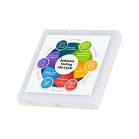 Tablet PC Industrial de 4 Pulgadas con Pantalla IPS YC-SM41P, Dispositivo Inteligente para el Hogar con Android 11 RK3566 de Cuatro Núcleos, para Autos, Hoteles y Bares, con WiFi