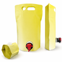 Pochettes Doypack à bec verseur personnalisées avec logo sérigraphié, qualité alimentaire, recyclables en PE, 1,5L, 2L, 3L, pour jus, vin et boissons, en boîte