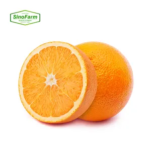 2023 New crop of Fresh Navel Orange Mandarin Orange fresh fruit Valencia oranges from China for wholesale