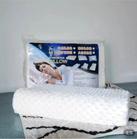 Dôme de sauna électrique moderne à infrarouge lointain pour un usage domestique Couverture corporelle 360 pour une perte de poids et une désintoxication efficaces en acrylique