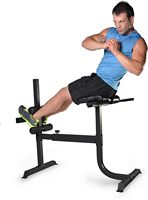 Wellshow-Banc de musculation pour sport, chaise romaine à extension hyper dorsale, banc réglable, banc incliné et décliné