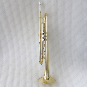 <span class=keywords><strong>Trompette</strong></span> Bb Or Focustyle pour Débutants Intermédiaires, Grande Cloche, Embouchure, Laque Claire, Laiton, OEM - Product Image 3