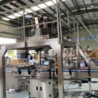Ligne de machines de pesage et de remplissage pour fruits secs, cacahuètes, pistaches, noix de cajou, céréales, prix fournisseur Chine