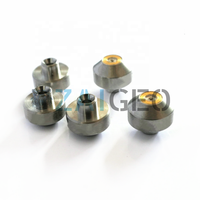 Pièces de rechange pour jet d'eau 004519/004519/004519/004519/004519/004519//12//13 Buse à jet d'eau Ruby Sapphire Orifice pour FLOW