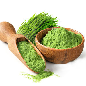 Poudre de Blé Vert Pur en Gros – Qualité Supérieure, Fine, pour Smoothies, Boissons, Pâtisseries, Cuisson et Recettes Alimentaires - Product Image 2