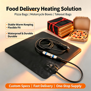 Cama Calefactora de Silicona Flexible de Tamaño Personalizado para Altas Temperaturas (-60~+250°C) - Nuevo Precio Competitivo 110V-220V 1 Año de Garantía - Product Image 5