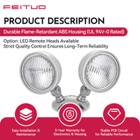FEUTUO Lampe d'extérieur fiable à double télécommande, option LED ou incandescente, avec ABS ignifuge pour éclairage d'urgence