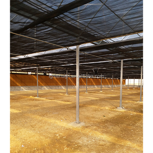 Sistema de riego de invernadero industrial IGreen invernadero para cultivo de caracoles - Product Image 5