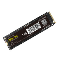Microthink M.2 2280 1TB PCIe 3.0 X4 dengan NVMe Internal Solid State Drive SSD MTP3.0 PCie3 untuk Laptop Desktop Ssd