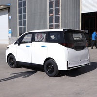 Vehículo Eléctrico de Cuatro Ruedas de Nueva Energía con Gran Capacidad de Carga, 3500w, Cinco Puertas, Cinco Asientos, Asientos de Lujo para Uso Familiar