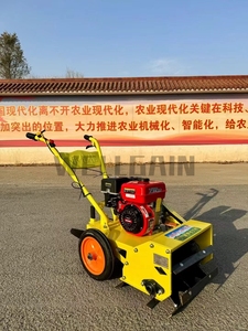 <span class=keywords><strong>Motozappa</strong></span> Compatta Multifunzione a Benzina per Diserbo, Dissodamento, Scavo e Aratura in Agricoltura Domestica - Product Image 6