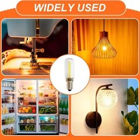 Ampoules LED avec couvercle en plastique AC 220V 110V, lampes à filament, lampe à micro-ondes, ampoule à filament Edison E12/E14 3W