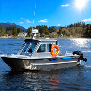 <span class=keywords><strong>Barco</strong></span> DE PESCA DE ALUMINIO premium pero barato con cabina para pesca y aventura Embarcaciones fuertes, seguras y versátiles - Product Image 1