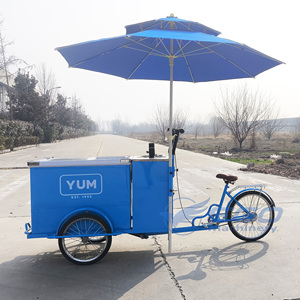 Three-Wheel Ice Food Car Front Freezer Street Food Freezer Bike - Product Image 3