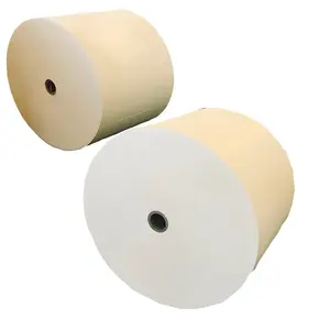 China Manufacturer PE-coated White Kraft Paper Customized Raw Material Paper In Roll For Food Packing