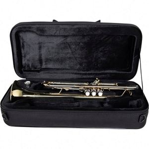 Sac de transport pour saxophone alto en tissu Oxford, certifié BSCI, sac à dos souple pour saxophone, sac de transport pour instrument de musique pour performance en extérieur - Product Image 5