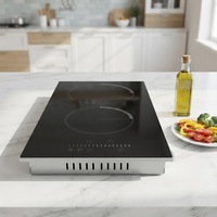 Table de cuisson électrique portable 3000W à double brûleur en céramique avec 2 serpentin chauffants