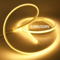 SXZM AC110V 220V 288Led avec prise étanche IP65 IP67 50M 100M EU UA CE Rohs Fcc COB LED bande pour l'extérieur jardin rue utilisation