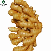 Nouvel ail frais de Chine de Shandong gingembre en gros graines de Chine pour la plantation d'ail frais