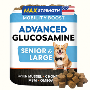 Glucosamine pour chiens seniors et grands chiens, formule avancée pour la mobilité, avec moule à lèvres vertes, chondroïtine, MSM et oméga-3, disponible en stock OEM - Product Image 1