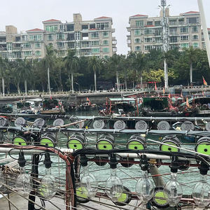 Fischerboot Verwenden Sie 1000w 1200w Tiefsee-Saury-Sardinen-Angell ampe Licht, Metall halogenid Marine Squid Angell ampe 1000w - Product Image 2