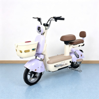 Vélo Électrique OEM ODM Puissant pour Femmes, Vélo Électrique 48V 350W, Vélo Électrique à Pneus Larges 500W, Vélo Électrique Tout-Terrain Urbain