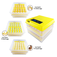 Incubateur solaire automatique pour œufs, incubateur à œufs de poulet, couveuse à œufs de poulet, alimentation double 220V/110V/12V, Chine