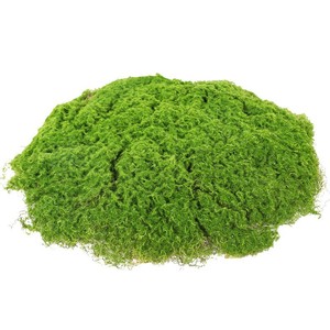 Mur végétal artificiel en mousse pour décorations intérieures de mariage, revêtement durable en plastique pour plantes vertes persistantes - Product Image 5