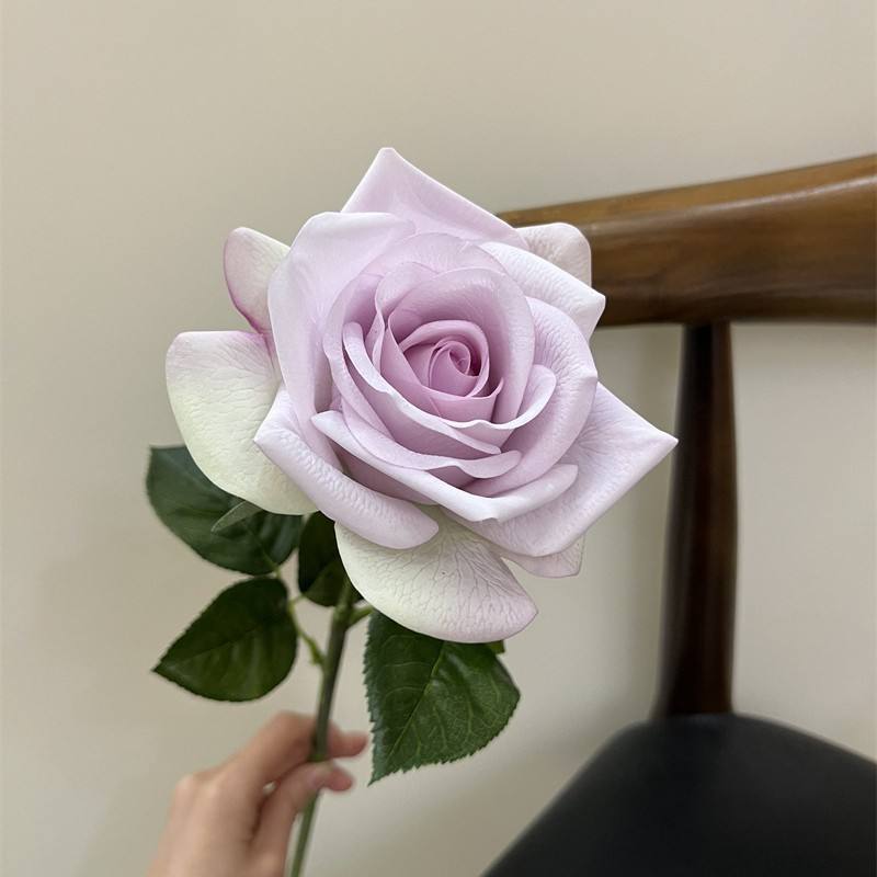 Rose corolle à tige unique-vert violet