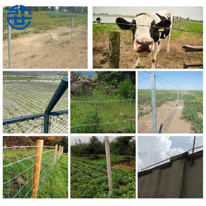 Pagar Kawat Berduri Buatan China 2026 Berkualitas Tinggi Kawat Berduri Galvanis Celup Panas Anti-panjat - Product Image 4