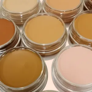 Kit de maquiagem de contorno totalmente abastecido inclui corretivo cremoso corretor de cores iluminador em pó bronzeador para aparência natural