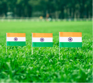 Пользовательские национальные флаги стран индийский флаг индийский маленький Стик мини Ручные флаги - Product Image 6