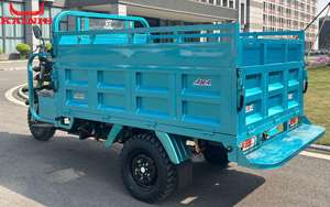 Nouveau modèle 2025 OEM ODM <span class=keywords><strong>Moto</strong></span> à trois roues motorisée Cargo KAINIU Gold <span class=keywords><strong>Dragon</strong></span> 200cc Refroidie par eau Durable Transport lourd - Product Image 5