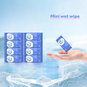 Whosale factory baby's wet wipes hygiene products mini baby wet wipes