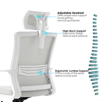 Chaise de bureau exécutive moderne et confortable avec dossier en maille de haute qualité, idéale pour les bureaux professionnels - Offre Spéciale