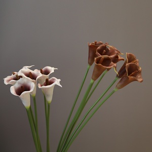 Lys Cala D-230 de haute qualité, toucher réaliste, couleur <span class=keywords><strong>bordeaux</strong></span>, en PU, à longue tige, pour <span class=keywords><strong>la</strong></span> décoration artistique et les mariages. - Product Image 4
