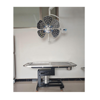 Table d'opération vétérinaire professionnelle durable pour animaux, en acier inoxydable, hydraulique et électrique, conforme à la norme ISO13485