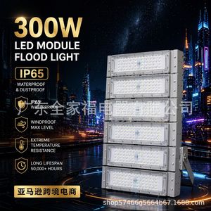 Projecteur LED 300W à puce COB, large faisceau, montage mural, haute luminosité, éclairage extérieur pour chantier - Product Image 2