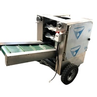 Automatische kokosnootschilmachine, commerciële kokosnootschilvezelverwijderaar voor de verwerking van volwassen kokosnoten