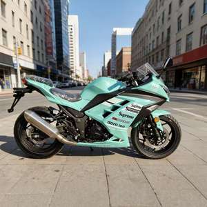 Motocicleta de Segunda Mano Ninja Aurora Horizon R3, Vehículo Deportivo para Adultos, Vehículo <span class=keywords><strong>Completo</strong></span>, Superdeportivo JYM250-2B, China Continental - Product Image 2