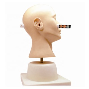 Modèle avancé de formation de Diagnostic d'oreille SC--LV41 de mannequin clinique de mannequin d'enseignement médical - Product Image 1